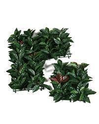 JARDIM VERTICAL (SEBE ARTIFICIAL LIPTUS 50X50)
