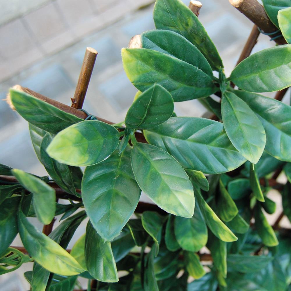 Jardim vertical X-tens Osmanthus 1.0 x 2.0mt verde Tenax