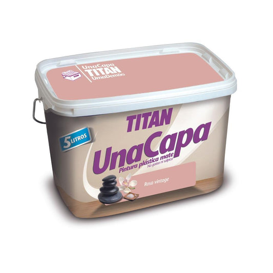 5L TINTA 1 DEMAO ROSA VINTAGE TITAN