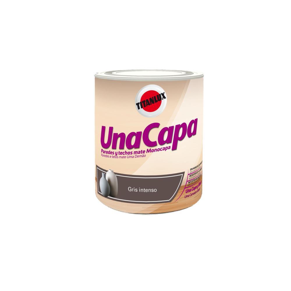 750ml TINTA 1 DEMAO CINZA INTENSO TITAN