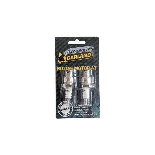 PAR VELAS MOTOR 4T RJ19LM Y+