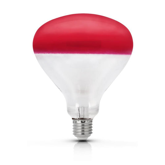 LAMP:P/PINTOS E27 150W