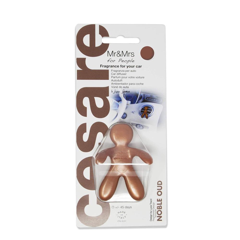 Ambientador Cesare bronze noble oud