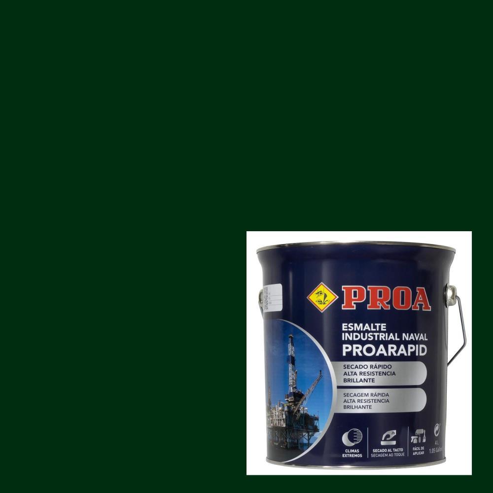 4L Esmalte proarapid verde ral 6009