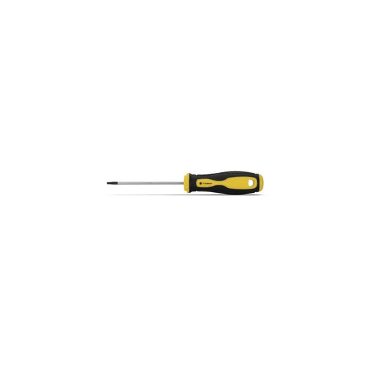 CHAVE TORX PRO T20X125MM