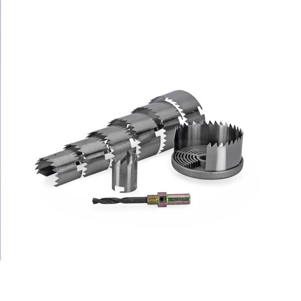CONJUNTO MISTO DE 8 SERRAS CRANEANAS