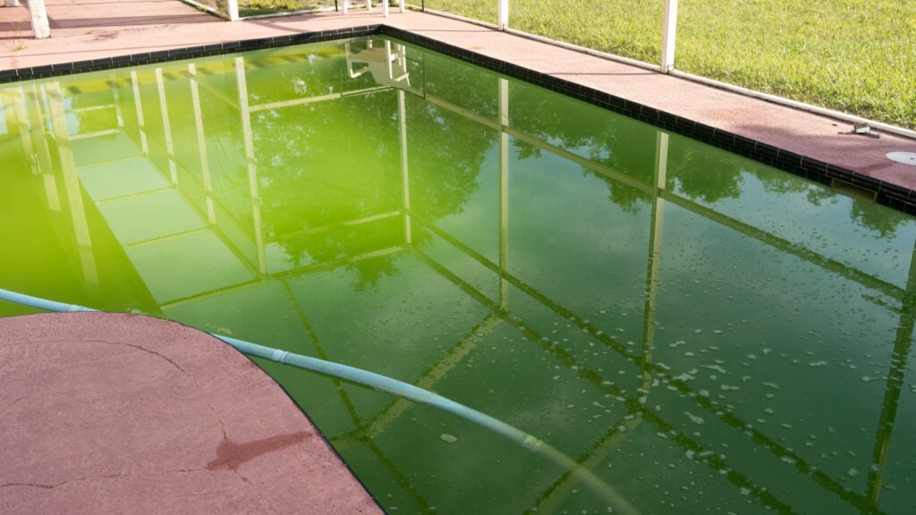 Como limpar a água verde da piscina | GlobalBrico