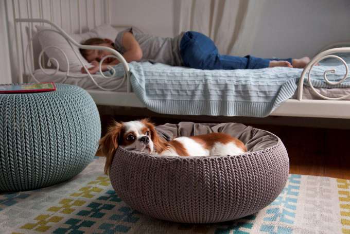 CAMA COZY DE ANIMAIS CURVE KETER